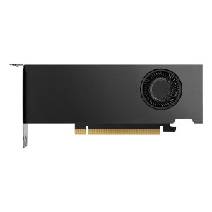 Vga Nvidia Quadro Rtx 2000 Ada 16 Gb Gddr6 2 Brackets Retail