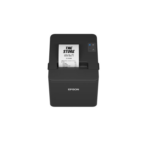 Impresora Termica Epson Tm-t20iv Usb serie Color Negro