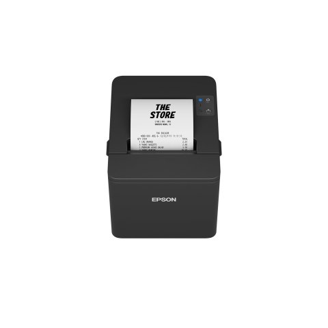 Impresora Termica Epson Tm-t20iv Usb serie Color Negro
