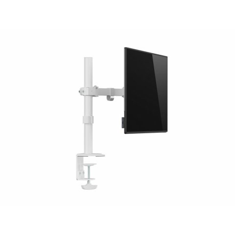 Soporte De Mesa Equip 650166 Para 1 Pantalla 17"-32" Brazo Inclinable Y Giratorio 360 Color Blanco