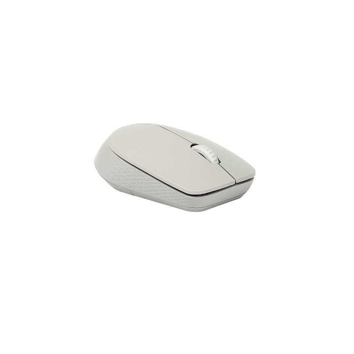 Mouse Rapoo Wireless Y Bluetooth M100 Silent 2.4g Ghz Bt 4.0 Usb 3.0 3 Botones 1300 Ppp Gris Claro