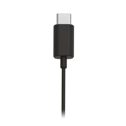 Auricular Intrauditivo Usb-c Con Microfono Philips Tae5008bk Color Negro Control Remoto Integrado