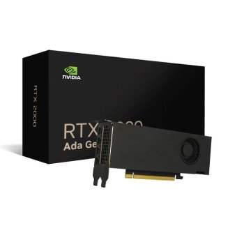 Vga Nvidia Quadro Rtx 2000 Ada 16 Gb Gddr6 2 Brackets.
