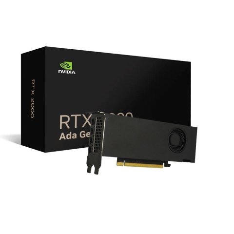 Vga Nvidia Quadro Rtx 2000 Ada 16 Gb Gddr6 2 Brackets.