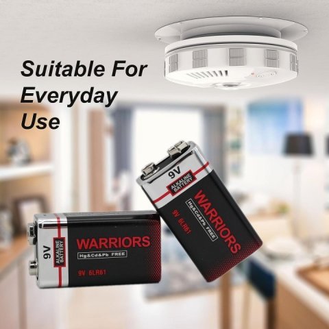 Pilas 6lr61 Warriors Alcalina 9v 1 Pila 