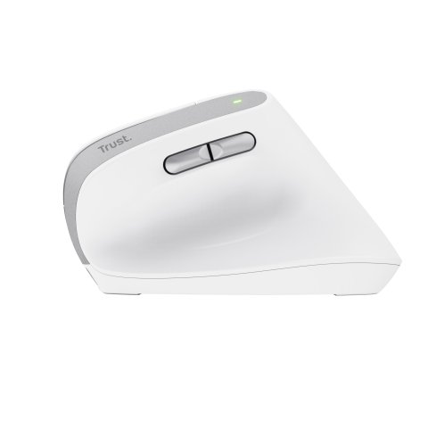Mouse Trust Wireless Ergo Bayo Ii Rf 2.4 Ghz Dpi Ajustable 800-2400ppp 6 Botones Carga Usb-c Blanco
