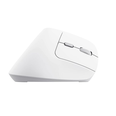 Mouse Trust Wireless Ergo Bayo Ii Rf 2.4 Ghz Dpi Ajustable 800-2400ppp 6 Botones Carga Usb-c Blanco
