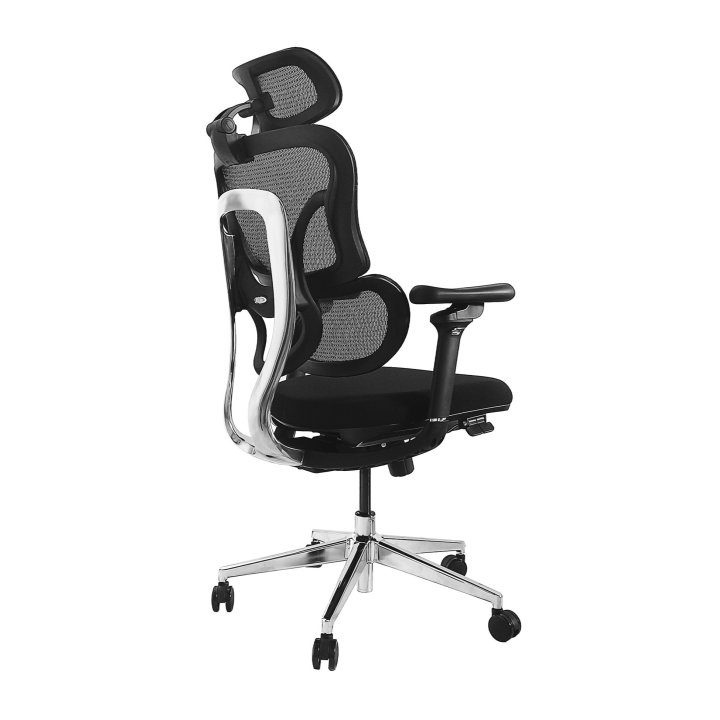 Silla De Oficina Ergonomica Equip 651053...