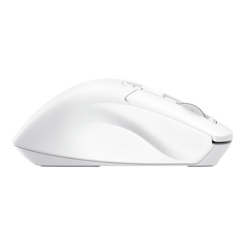 Mouse Trust Wireless Niven Bt 2.4ghz 7 Botones 800-3200dpi Recargable Color Blanco.