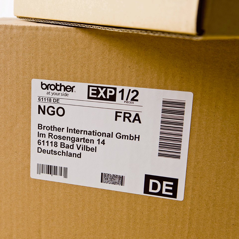 Etiqueta Envio 62 X 100 MM DK11202 (300 ETIQ) 3