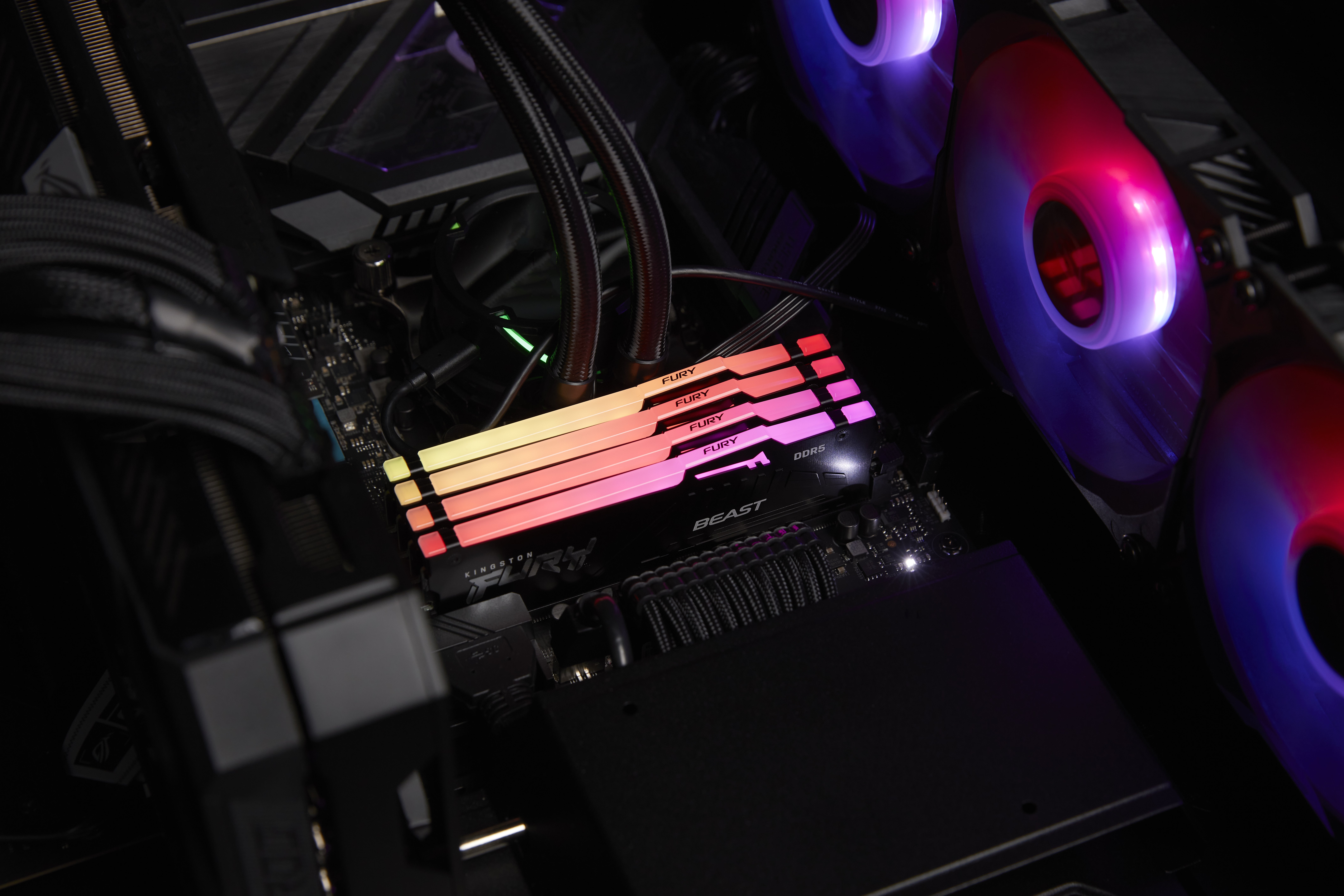 DDR5 32GB 5600MHZ FURY Beats RGB CL40 KF556C40BBA-32 8