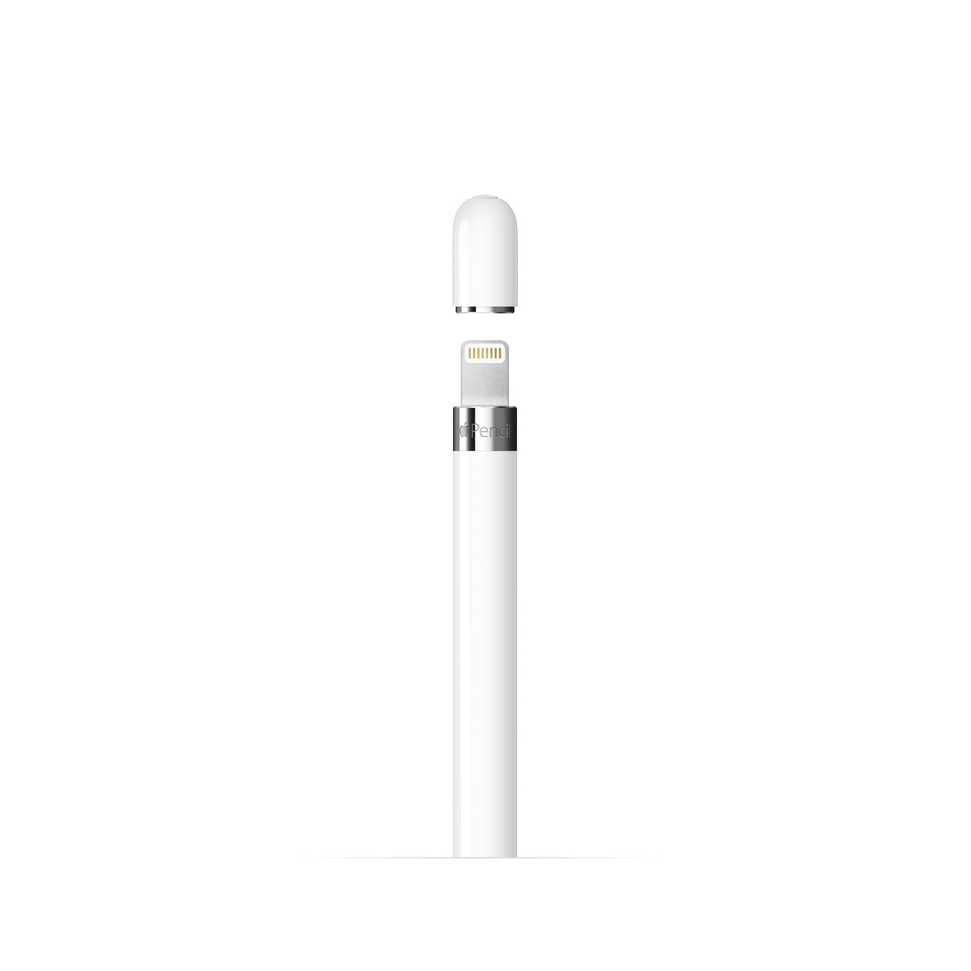Pencil (1st GENERATION) 2022 2